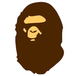 Bape Hoodies
