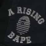 Bape Asia Camo Army Pants, view 3