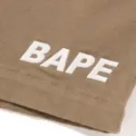 Bape Climbing Shorts, view 3